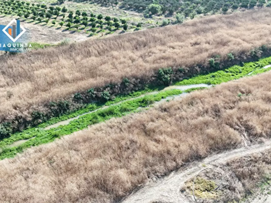 Immagine 17 di Terreno in vendita  in Strada statale 417 / c.da Cuticchi snc a Ramacca