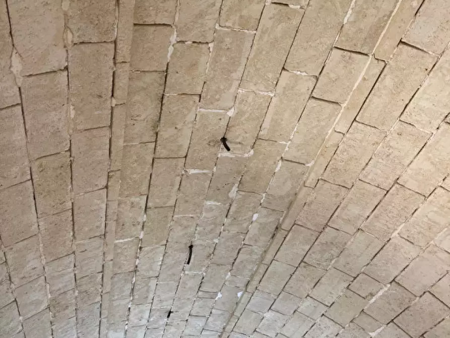 Immagine 8 di Villa in vendita  in Contrada Abate Nicola Grande a Ceglie Messapico