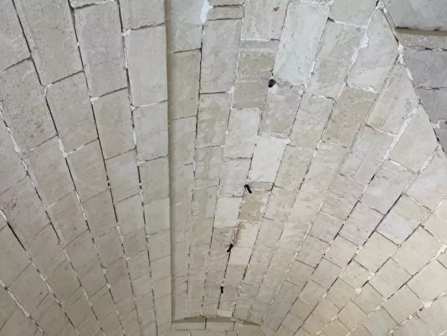 Immagine 10 di Villa in vendita  in Contrada Abate Nicola Grande a Ceglie Messapico