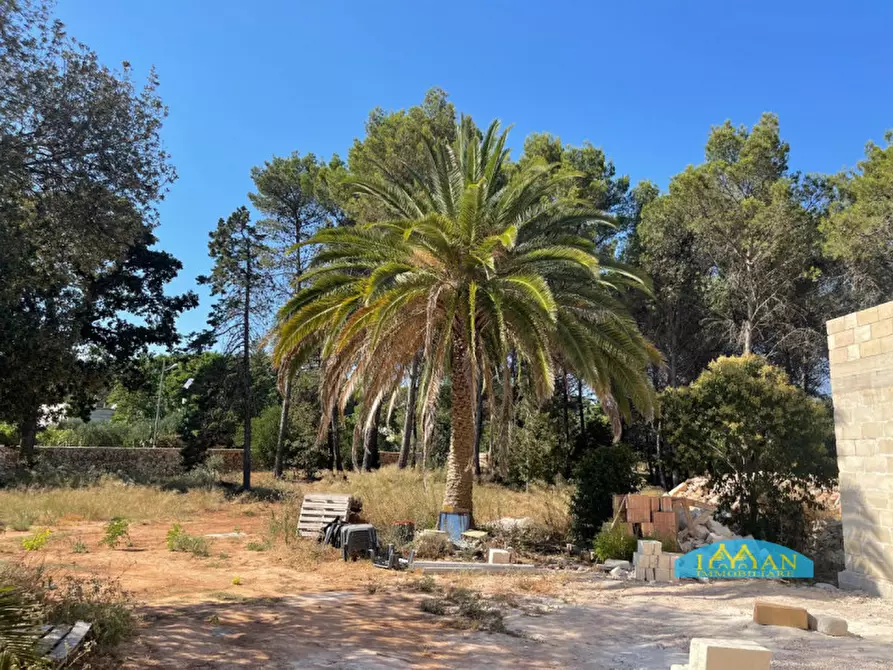 Immagine 24 di Villa in vendita  in Contrada Abate Nicola Grande a Ceglie Messapico