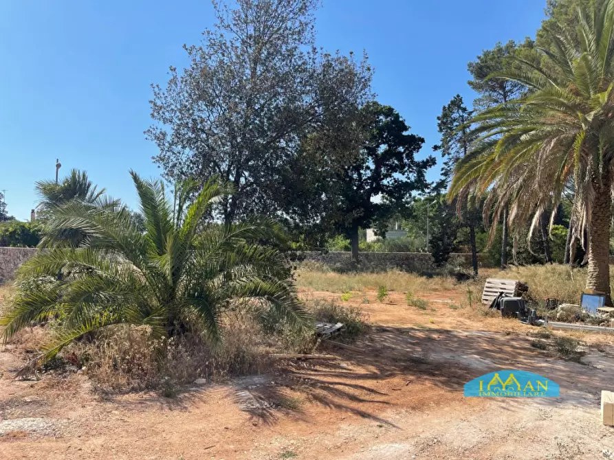 Immagine 27 di Villa in vendita  in Contrada Abate Nicola Grande a Ceglie Messapico