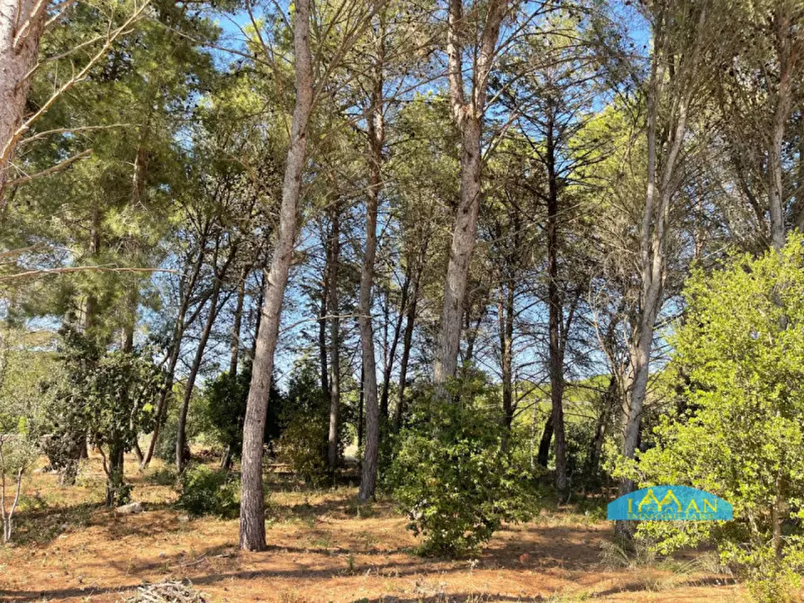 Immagine 29 di Villa in vendita  in Contrada Abate Nicola Grande a Ceglie Messapico