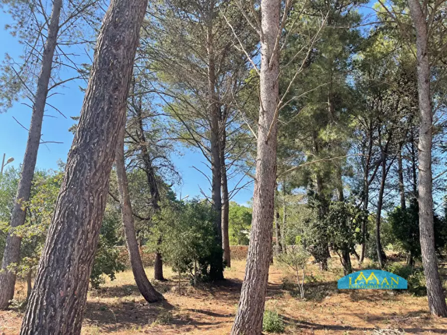 Immagine 30 di Villa in vendita  in Contrada Abate Nicola Grande a Ceglie Messapico