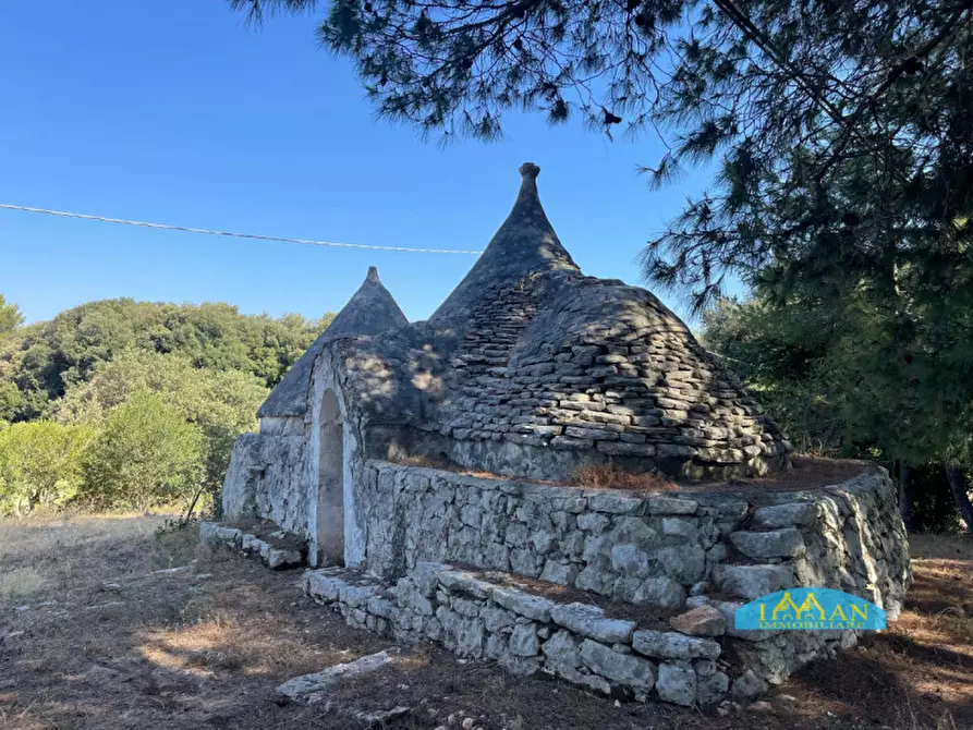 Immagine 31 di Villa in vendita  in Contrada Abate Nicola Grande a Ceglie Messapico