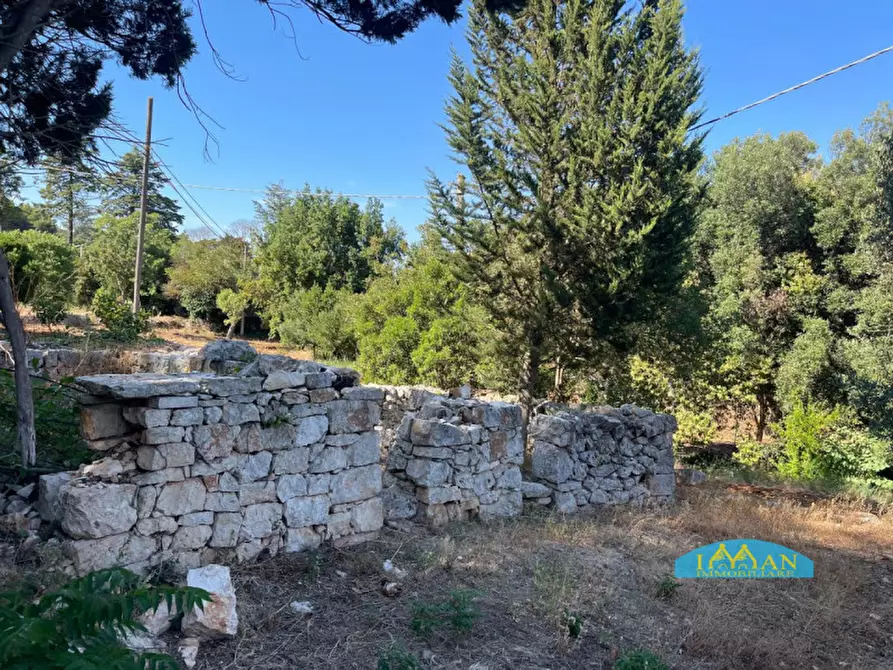 Immagine 32 di Villa in vendita  in Contrada Abate Nicola Grande a Ceglie Messapico