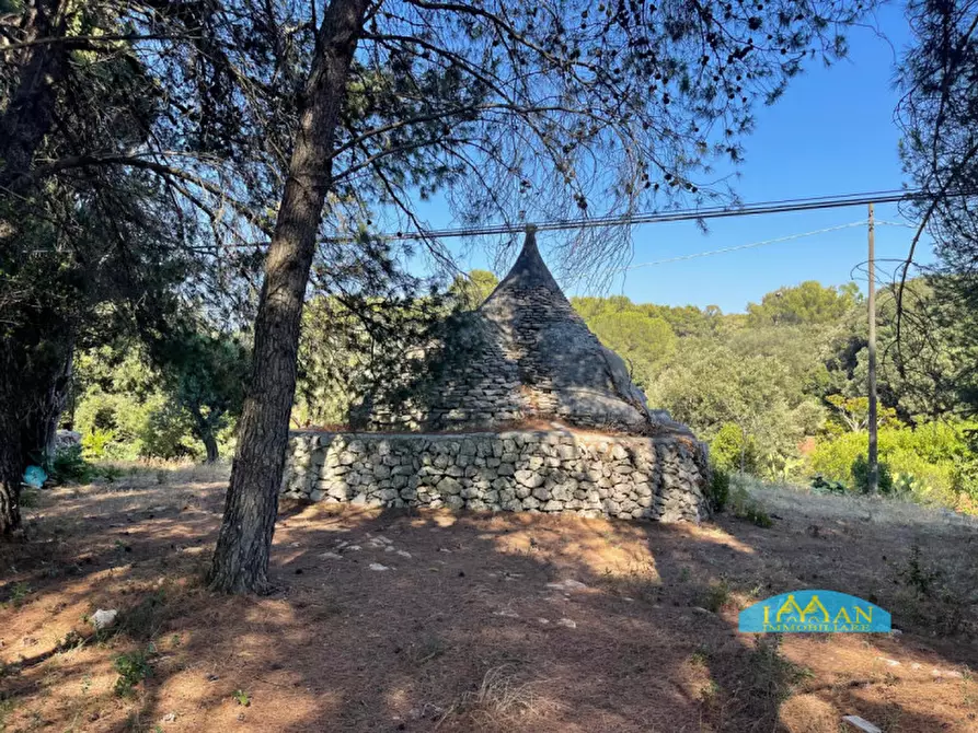 Immagine 33 di Villa in vendita  in Contrada Abate Nicola Grande a Ceglie Messapico