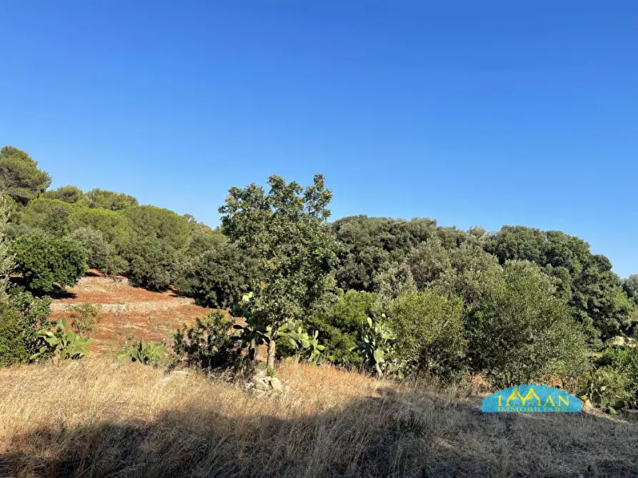 Immagine 34 di Villa in vendita  in Contrada Abate Nicola Grande a Ceglie Messapico