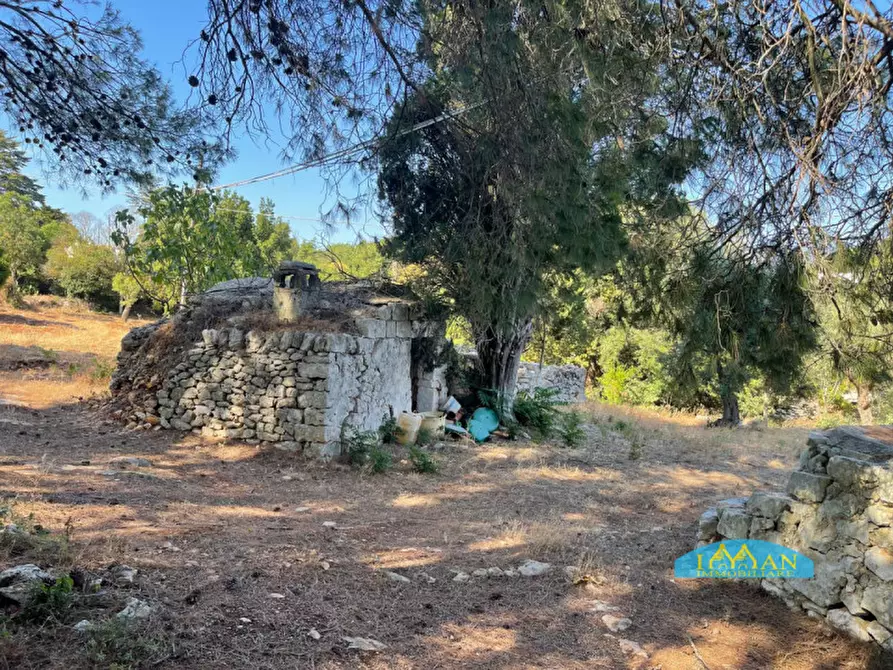Immagine 35 di Villa in vendita  in Contrada Abate Nicola Grande a Ceglie Messapico