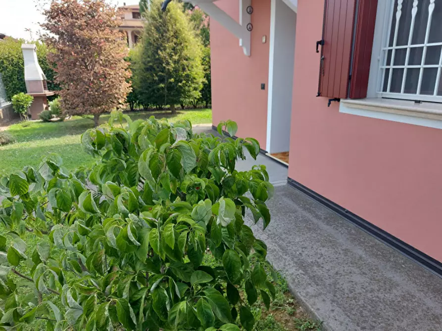 Immagine 26 di Villetta a schiera in vendita  a Masi