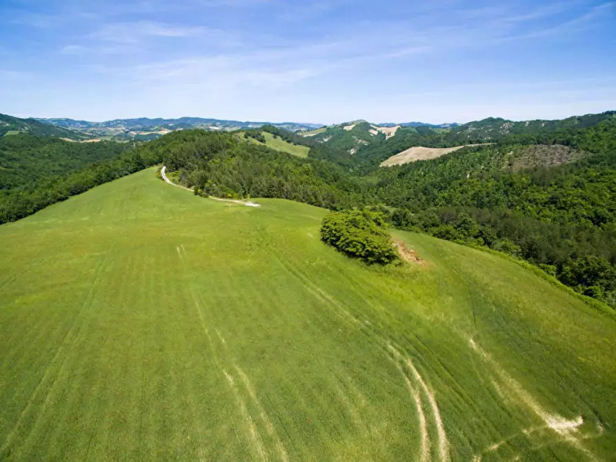 Immagine 1 di Rustico / casale in vendita  in Colcello dei Mochi a Belforte All'isauro
