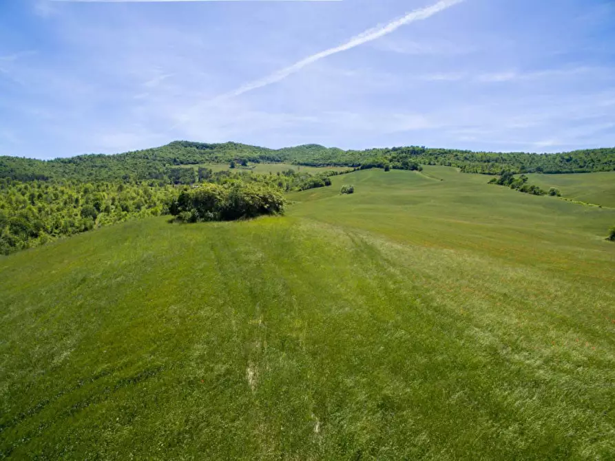 Immagine 2 di Rustico / casale in vendita  in Colcello dei Mochi a Belforte All'isauro