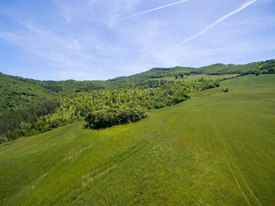 Immagine 3 di Rustico / casale in vendita  in Colcello dei Mochi a Belforte All'isauro
