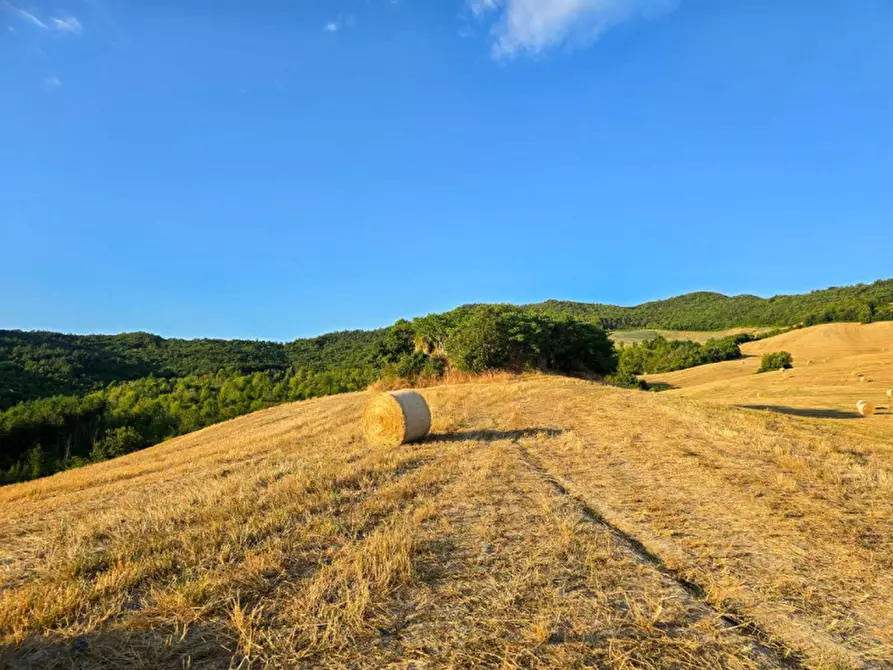Immagine 4 di Rustico / casale in vendita  in Colcello dei Mochi a Belforte All'isauro