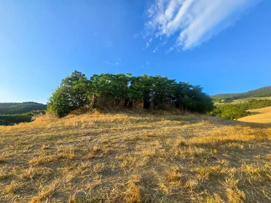 Immagine 5 di Rustico / casale in vendita  in Colcello dei Mochi a Belforte All'isauro