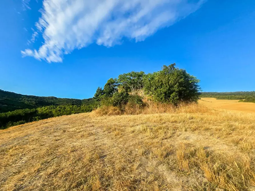 Immagine 6 di Rustico / casale in vendita  in Colcello dei Mochi a Belforte All'isauro