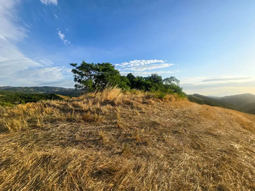 Immagine 7 di Rustico / casale in vendita  in Colcello dei Mochi a Belforte All'isauro