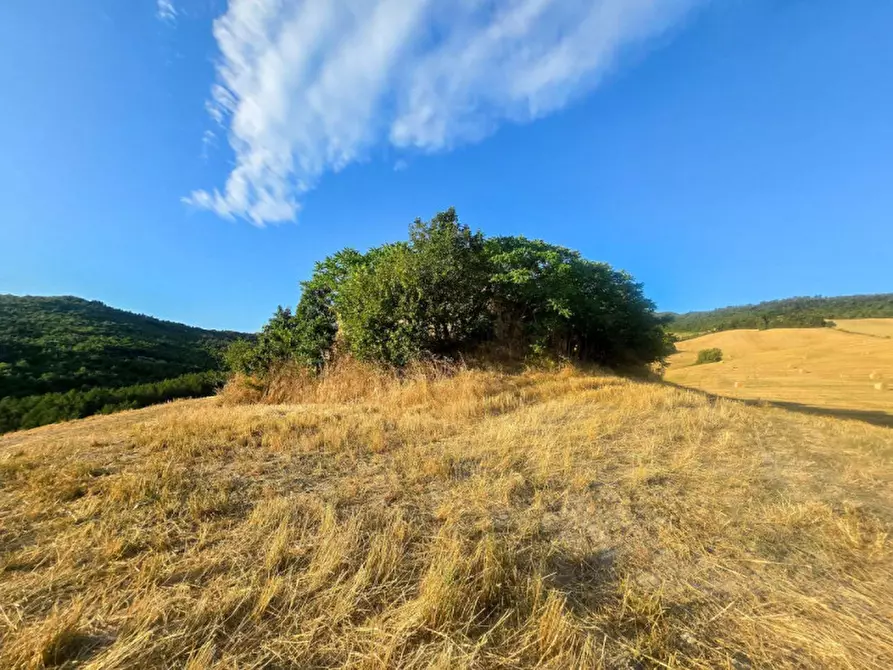 Immagine 8 di Rustico / casale in vendita  in Colcello dei Mochi a Belforte All'isauro