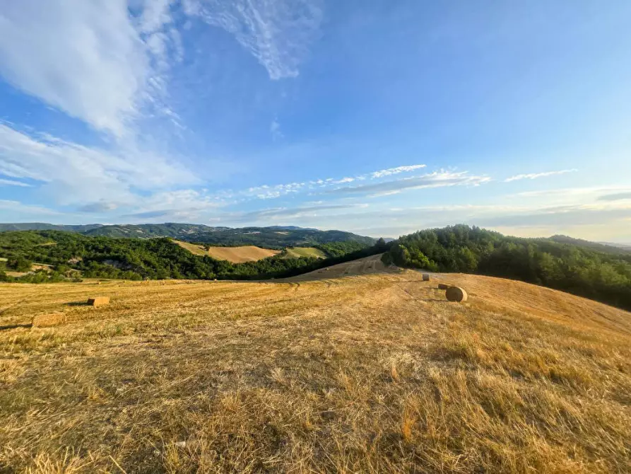Immagine 9 di Rustico / casale in vendita  in Colcello dei Mochi a Belforte All'isauro