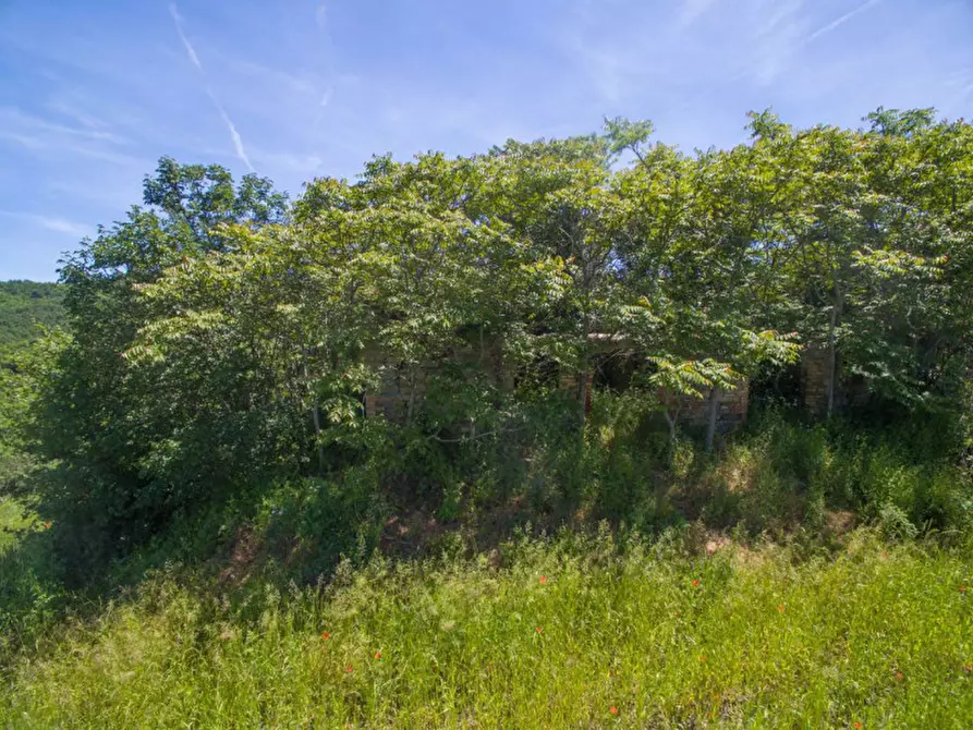 Immagine 10 di Rustico / casale in vendita  in Colcello dei Mochi a Belforte All'isauro