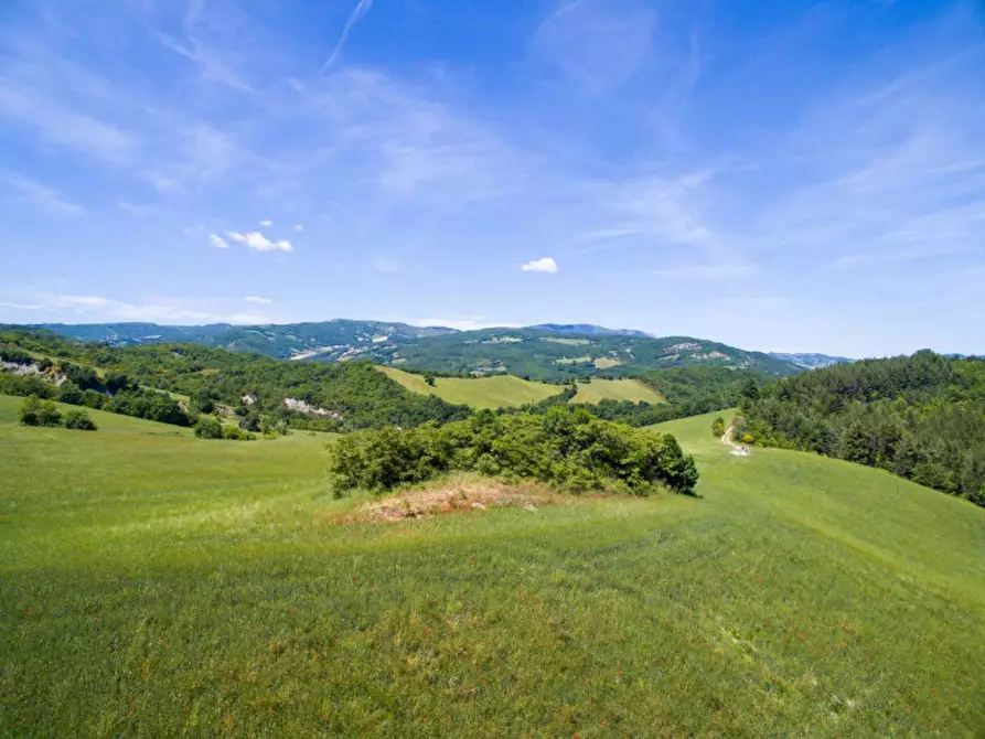 Immagine 11 di Rustico / casale in vendita  in Colcello dei Mochi a Belforte All'isauro