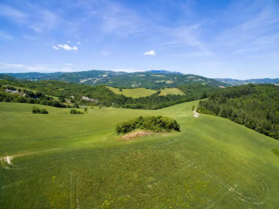 Immagine 12 di Rustico / casale in vendita  in Colcello dei Mochi a Belforte All'isauro