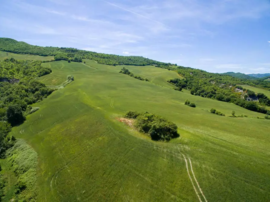 Immagine 13 di Rustico / casale in vendita  in Colcello dei Mochi a Belforte All'isauro