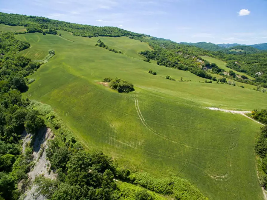 Immagine 14 di Rustico / casale in vendita  in Colcello dei Mochi a Belforte All'isauro