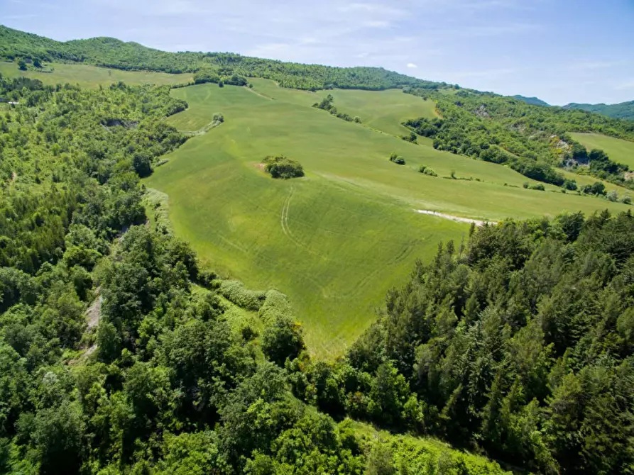 Immagine 15 di Rustico / casale in vendita  in Colcello dei Mochi a Belforte All'isauro