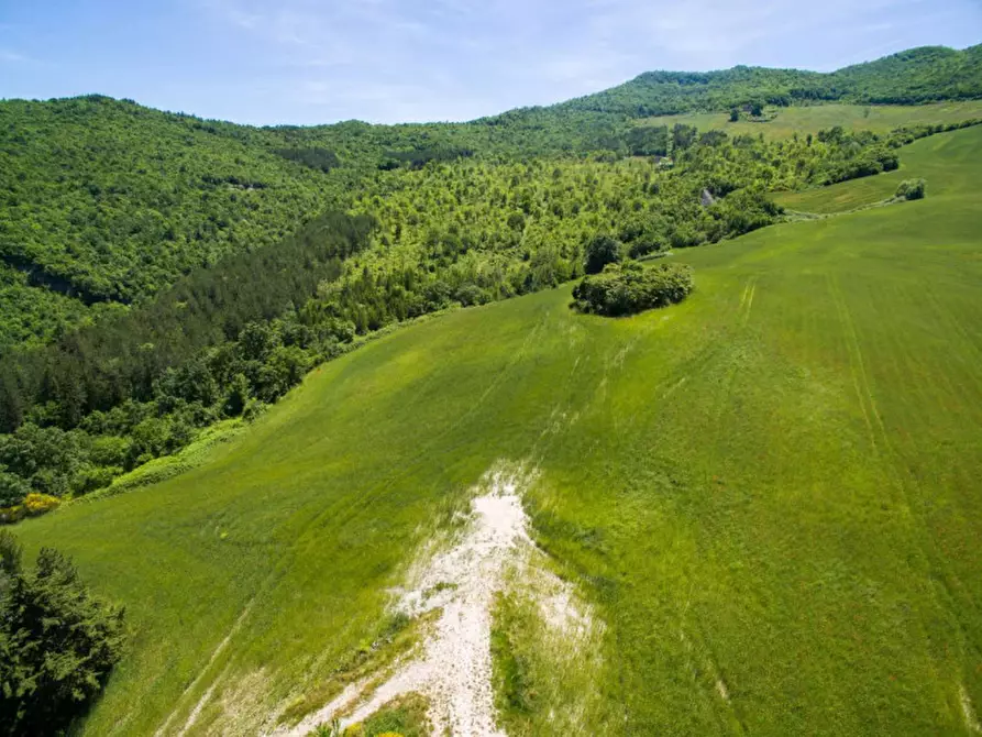 Immagine 16 di Rustico / casale in vendita  in Colcello dei Mochi a Belforte All'isauro