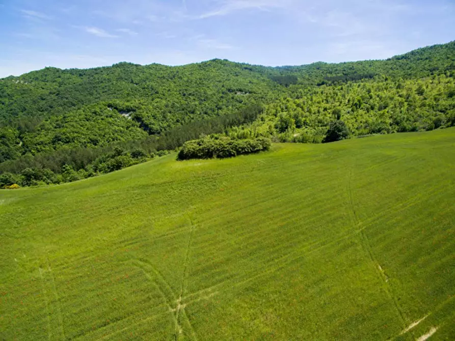 Immagine 17 di Rustico / casale in vendita  in Colcello dei Mochi a Belforte All'isauro