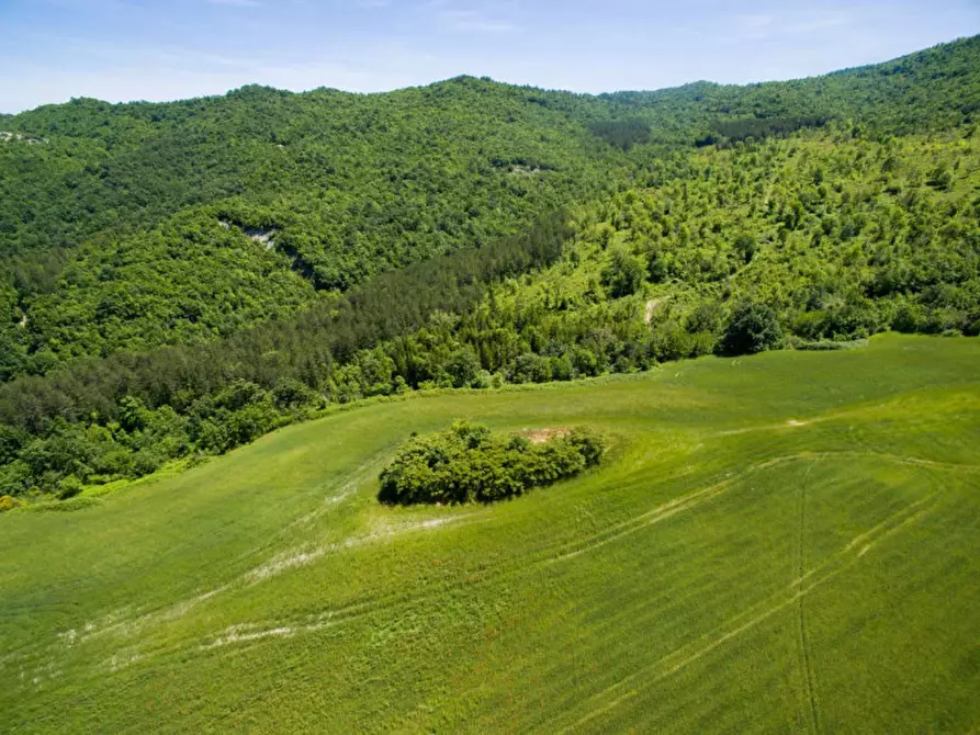 Immagine 19 di Rustico / casale in vendita  in Colcello dei Mochi a Belforte All'isauro