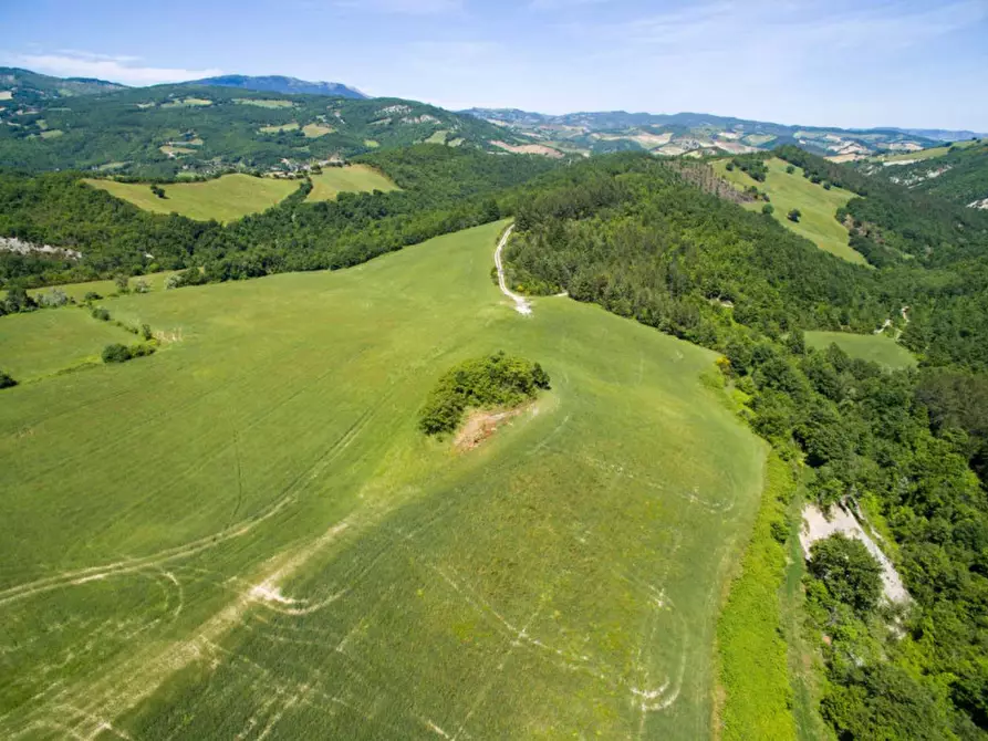 Immagine 20 di Rustico / casale in vendita  in Colcello dei Mochi a Belforte All'isauro