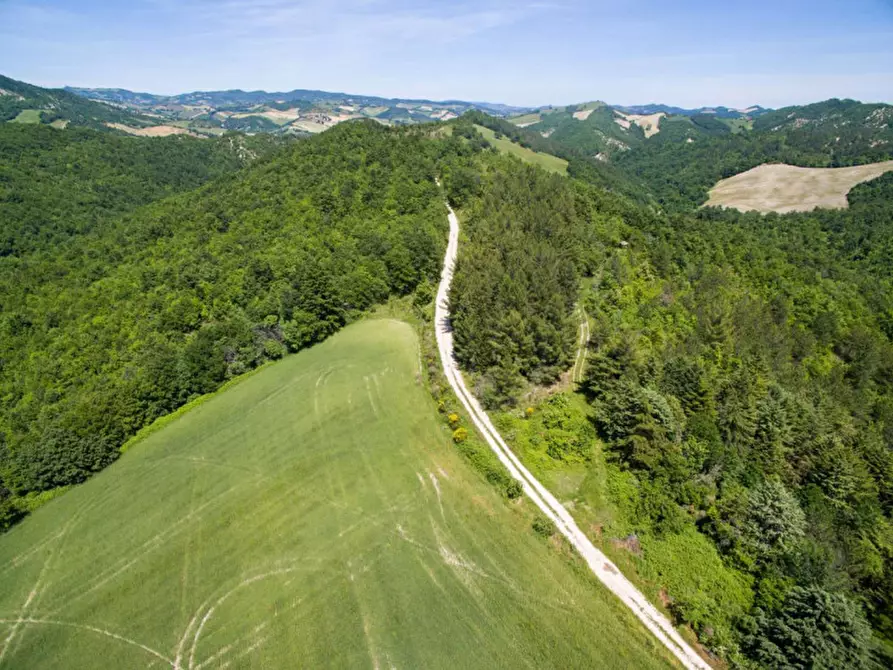 Immagine 21 di Rustico / casale in vendita  in Colcello dei Mochi a Belforte All'isauro