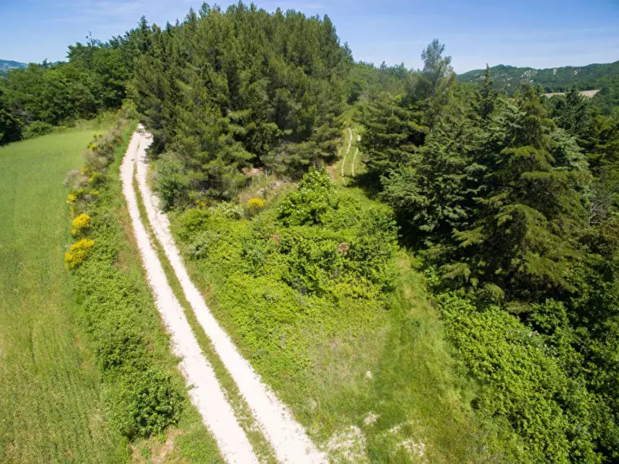 Immagine 22 di Rustico / casale in vendita  in Colcello dei Mochi a Belforte All'isauro
