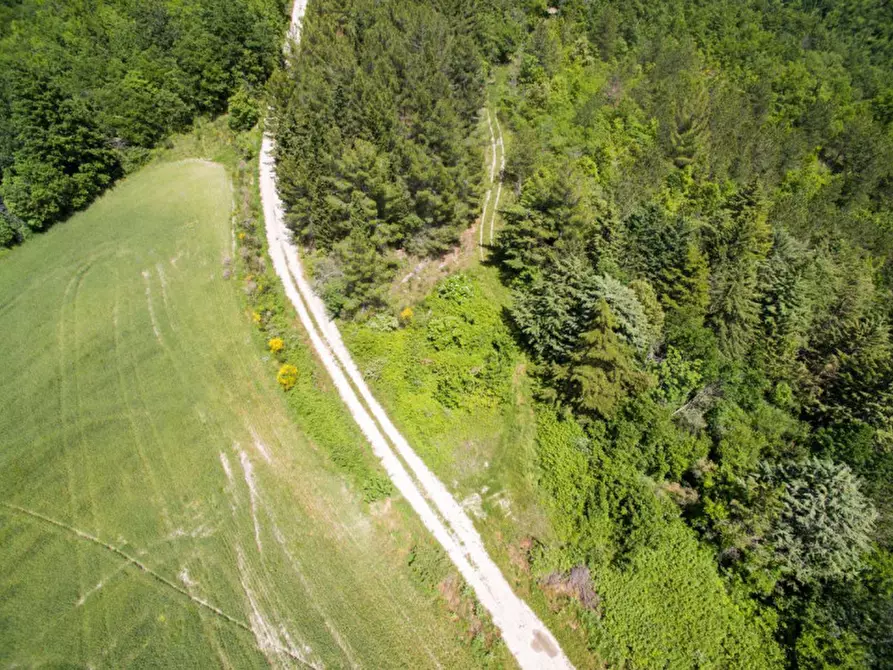 Immagine 23 di Rustico / casale in vendita  in Colcello dei Mochi a Belforte All'isauro