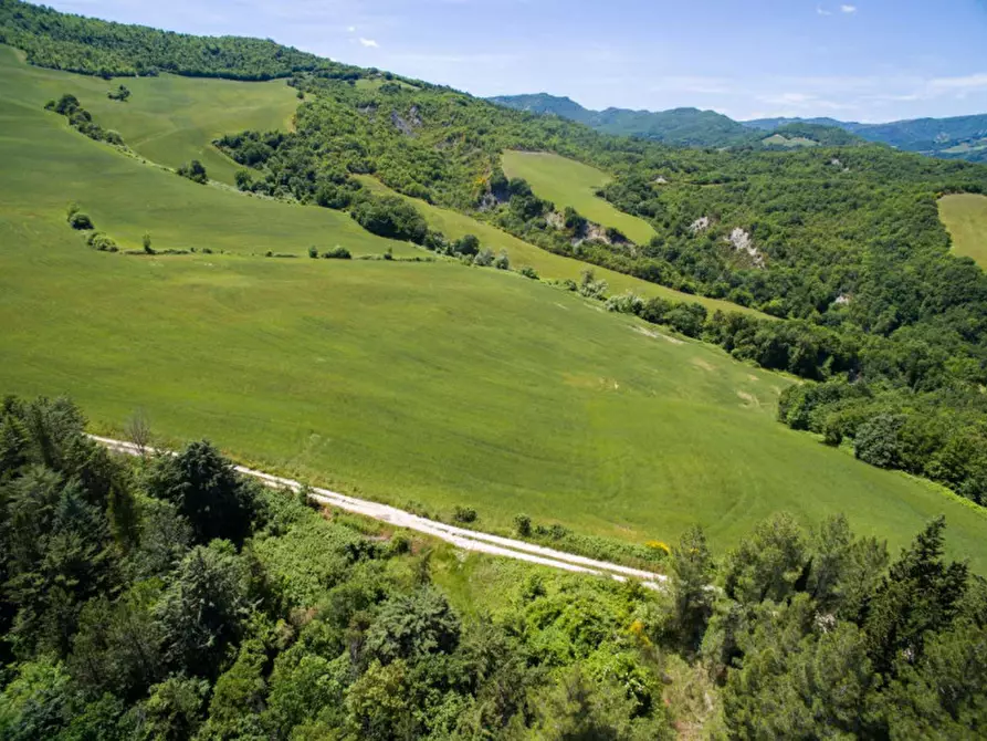 Immagine 24 di Rustico / casale in vendita  in Colcello dei Mochi a Belforte All'isauro