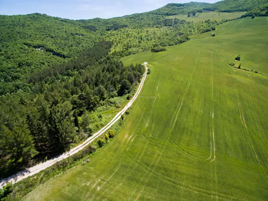 Immagine 25 di Rustico / casale in vendita  in Colcello dei Mochi a Belforte All'isauro
