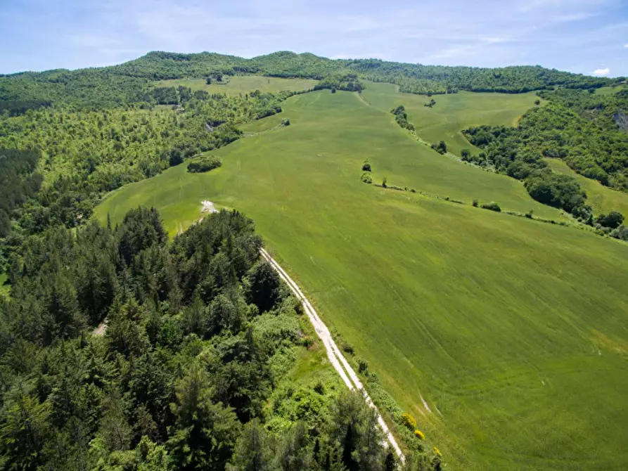 Immagine 26 di Rustico / casale in vendita  in Colcello dei Mochi a Belforte All'isauro
