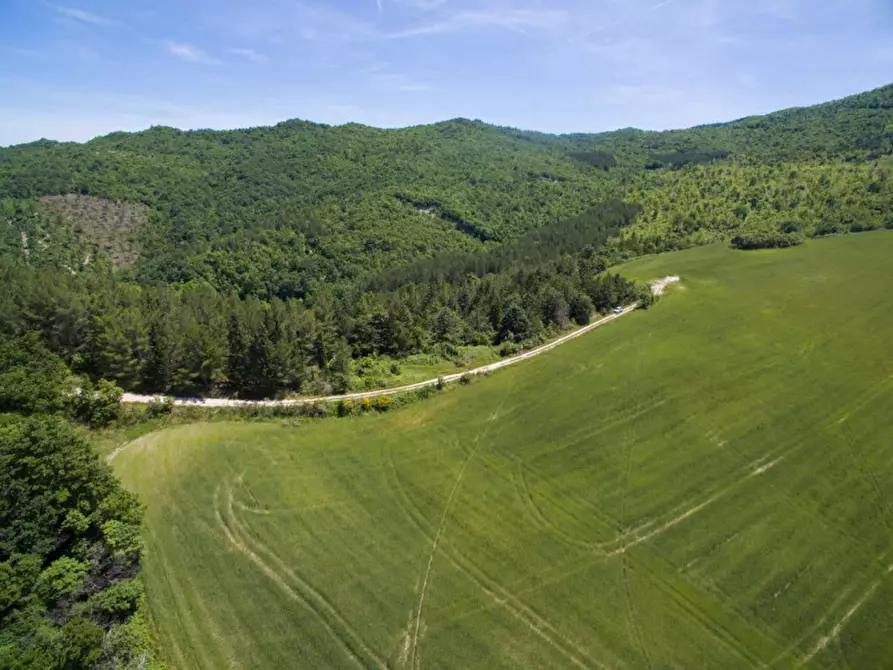 Immagine 27 di Rustico / casale in vendita  in Colcello dei Mochi a Belforte All'isauro