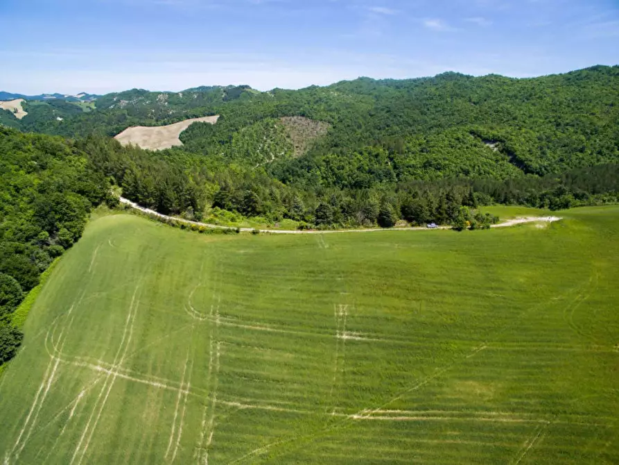Immagine 28 di Rustico / casale in vendita  in Colcello dei Mochi a Belforte All'isauro