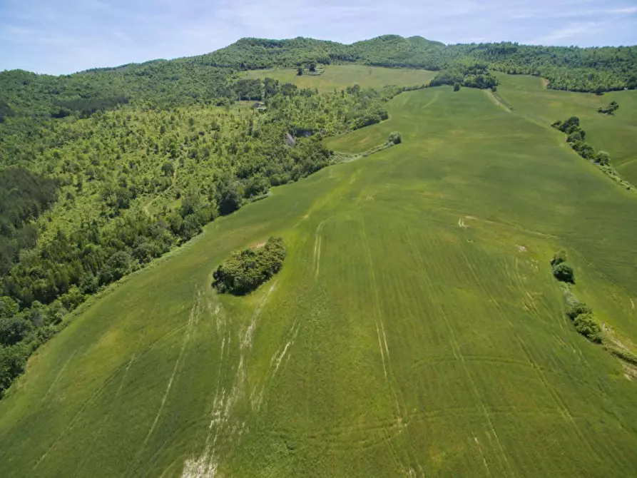 Immagine 29 di Rustico / casale in vendita  in Colcello dei Mochi a Belforte All'isauro