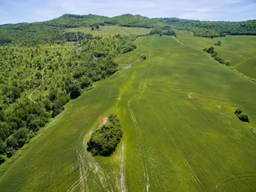 Immagine 30 di Rustico / casale in vendita  in Colcello dei Mochi a Belforte All'isauro