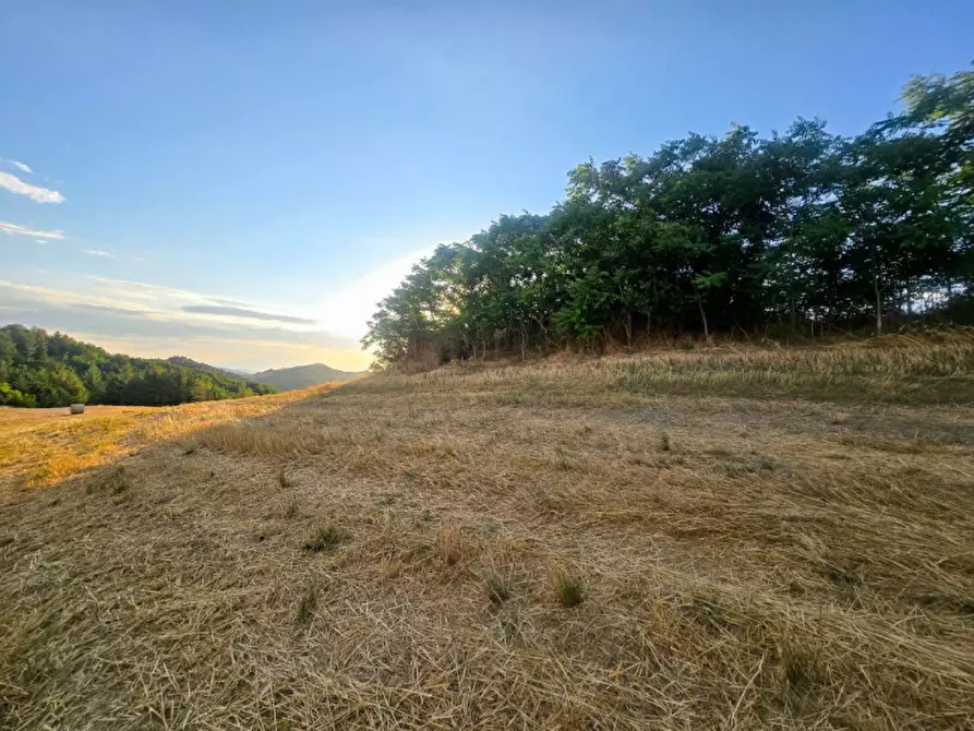 Immagine 31 di Rustico / casale in vendita  in Colcello dei Mochi a Belforte All'isauro
