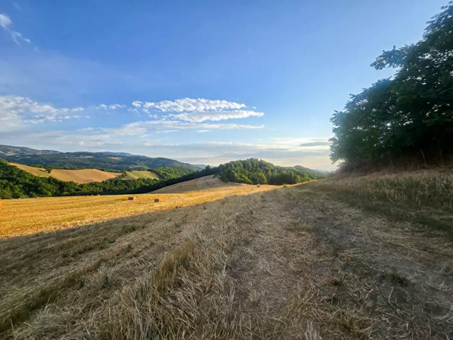 Immagine 32 di Rustico / casale in vendita  in Colcello dei Mochi a Belforte All'isauro