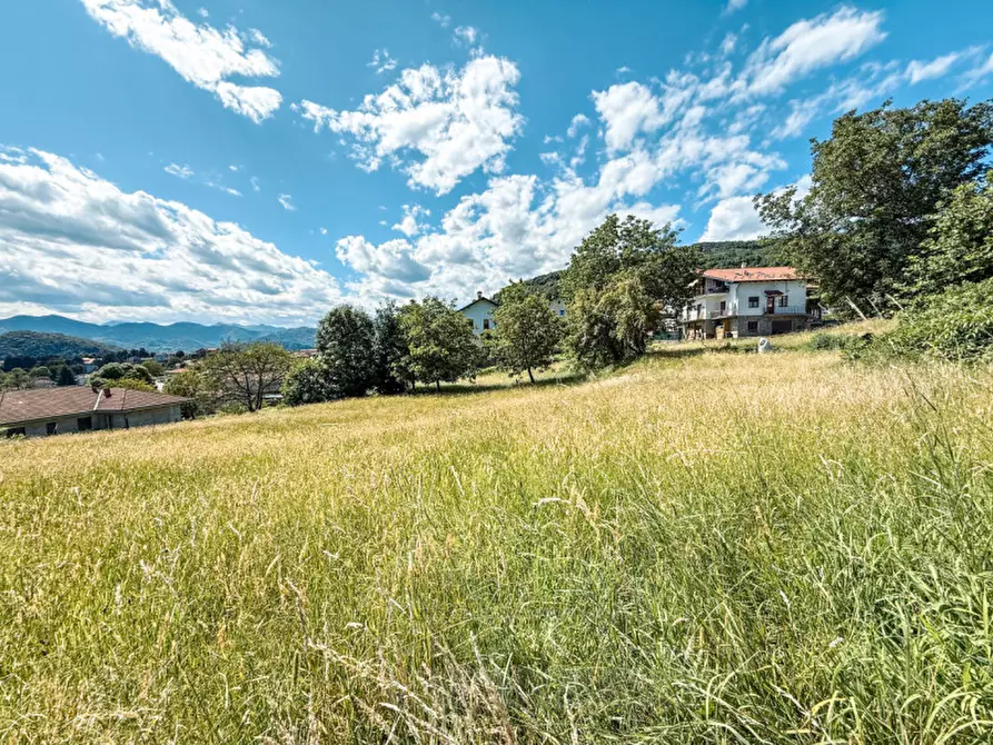 Immagine 9 di Terreno in vendita  in Via Stresa snc a Armeno