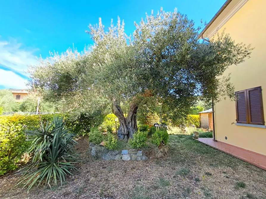 Immagine 31 di Villa in vendita  a Passignano Sul Trasimeno