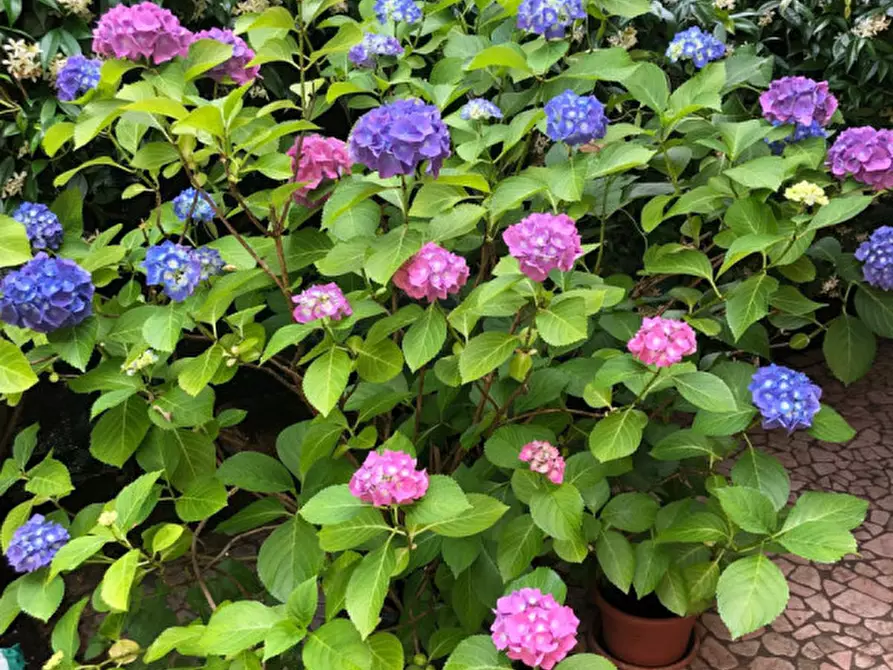 Immagine 18 di Casa indipendente in vendita  in Centro Storico a Vicenza