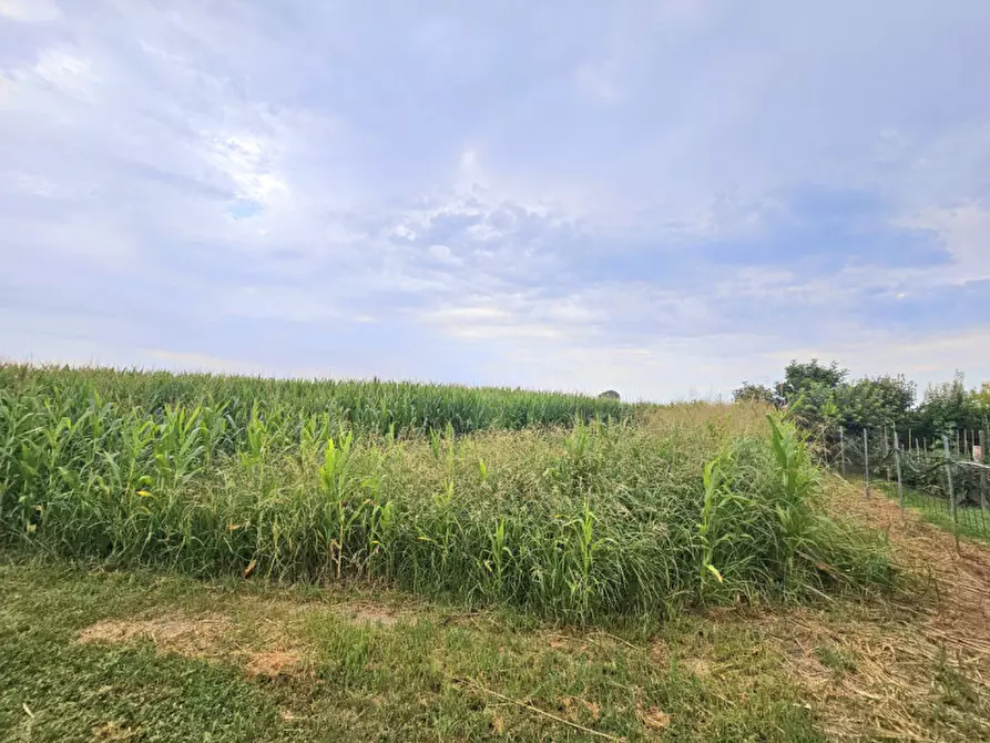 Immagine 5 di Villetta a schiera in vendita  in Via Fornasette di Sopra a Villa Estense