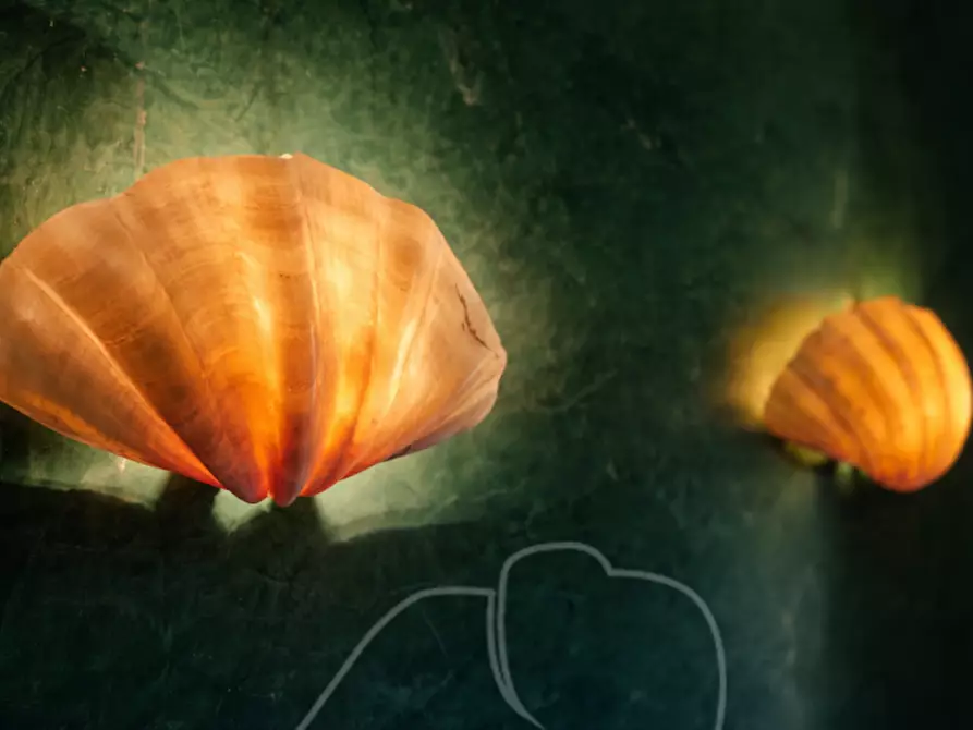 Immagine 50 di Villa in vendita  a San Zeno Di Montagna