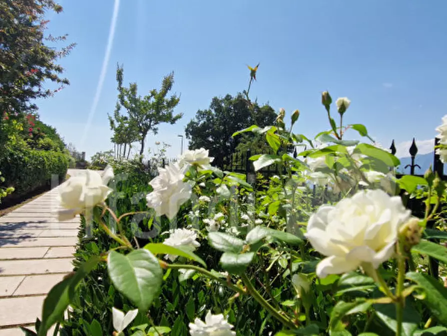 Immagine 54 di Villa in vendita  a San Zeno Di Montagna